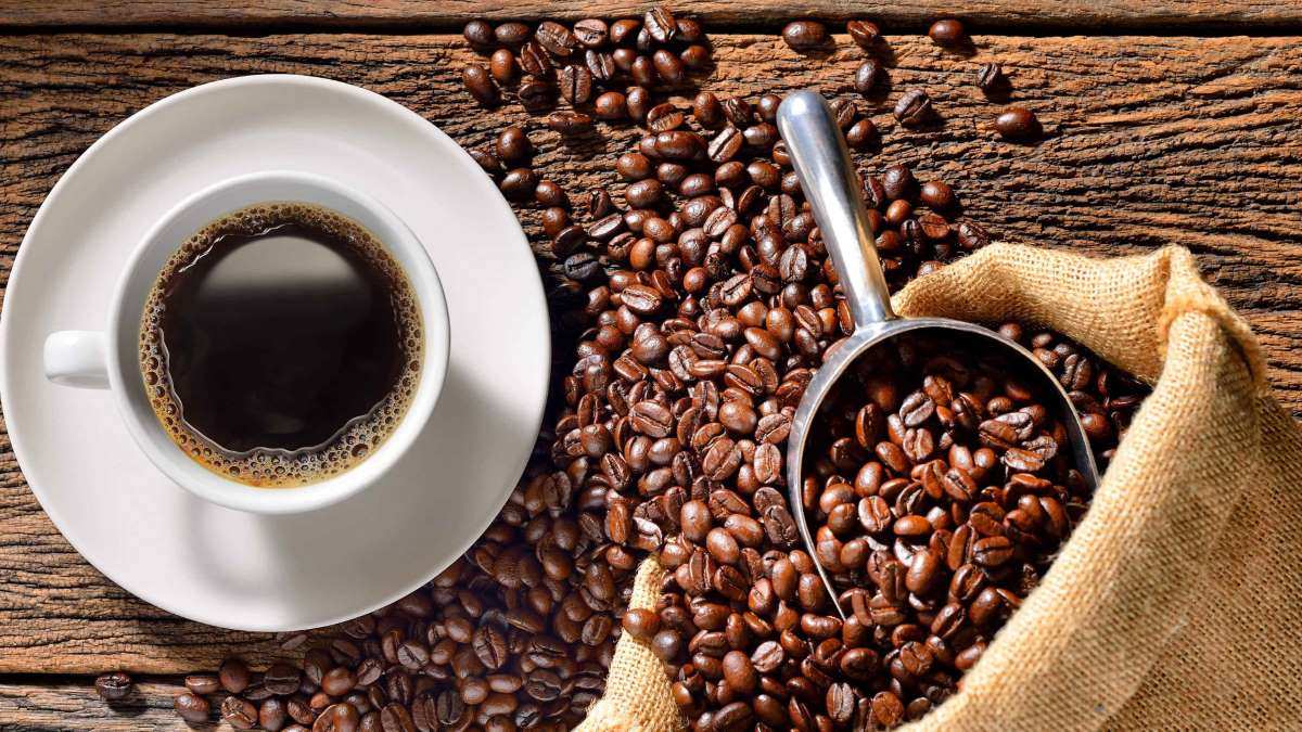 Caffè speciale : il meglio della qualità Caffè speciale : il meglio della qualità